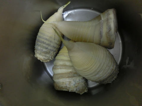 CIMG4684