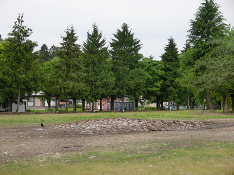 CIMG3482