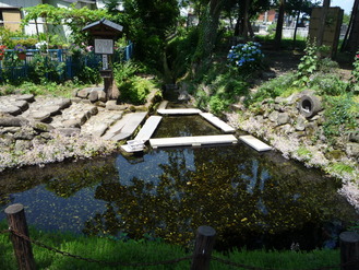 P1000915