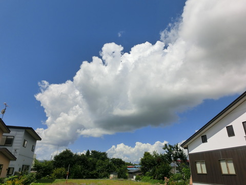 CIMG7434