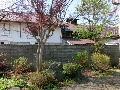 CIMG0259