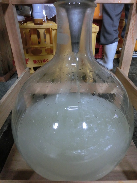 CIMG0952