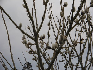 ������0001