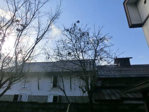 CIMG6794