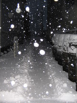 ���ä���