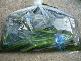 P1000532