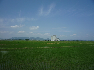 P1000911