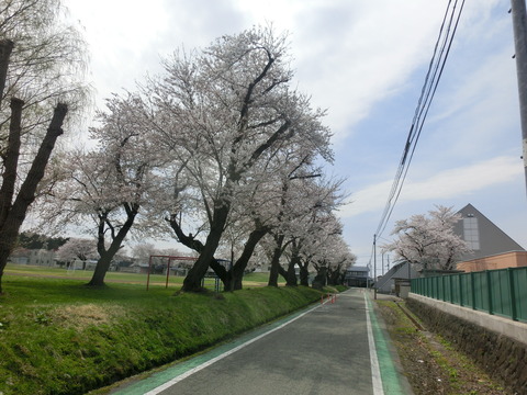 CIMG0101