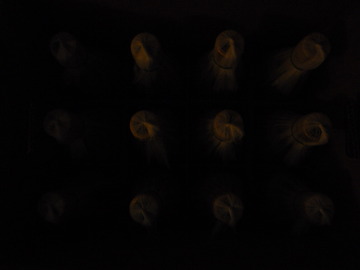 P1080637