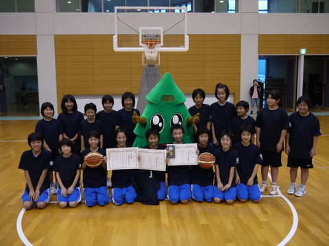 sugi