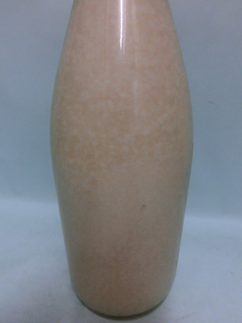 CIMG1263