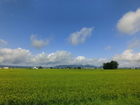 CIMG3550