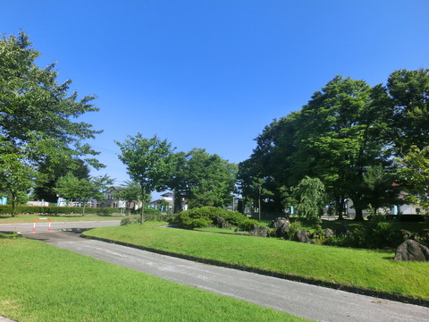 CIMG2537
