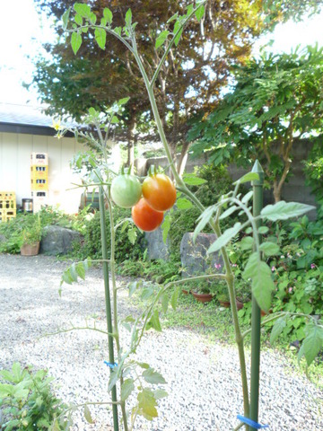P1080626