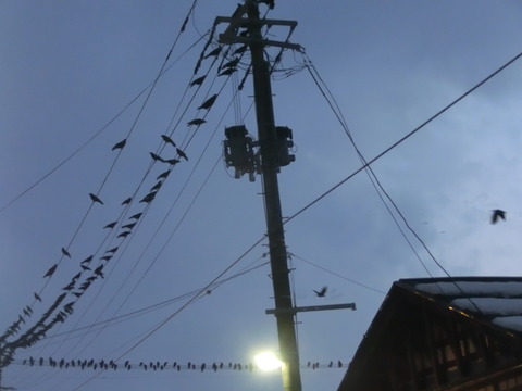 CIMG0003