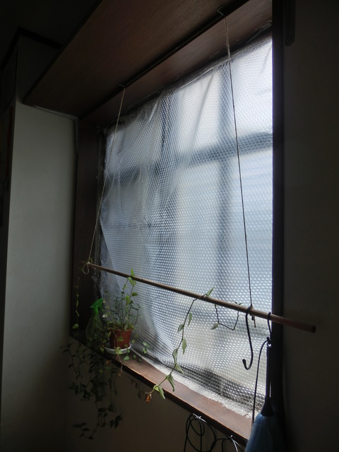 CIMG5166