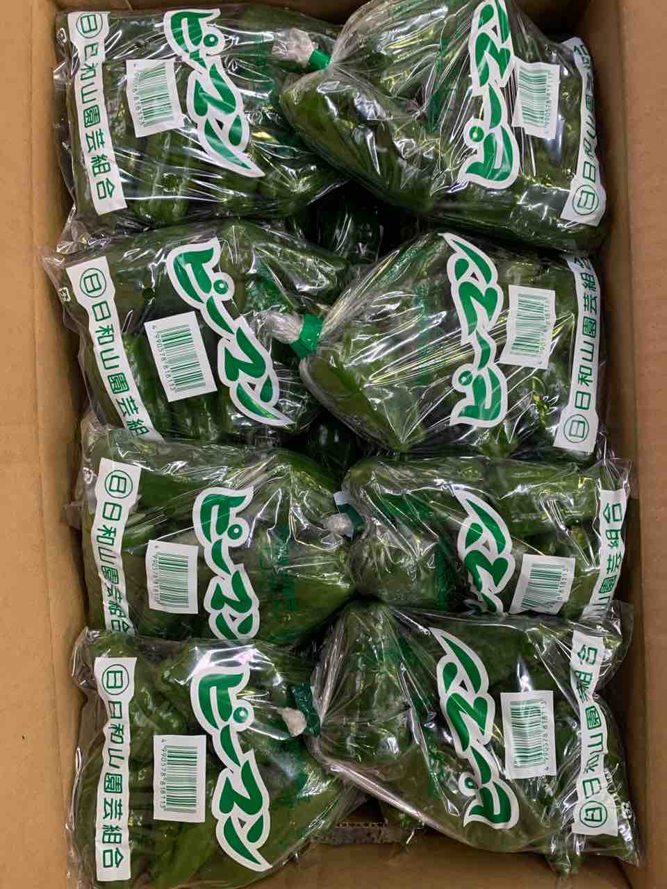 中品八房赤松 1/28（水）営業します : 志津駅前 八百屋さん