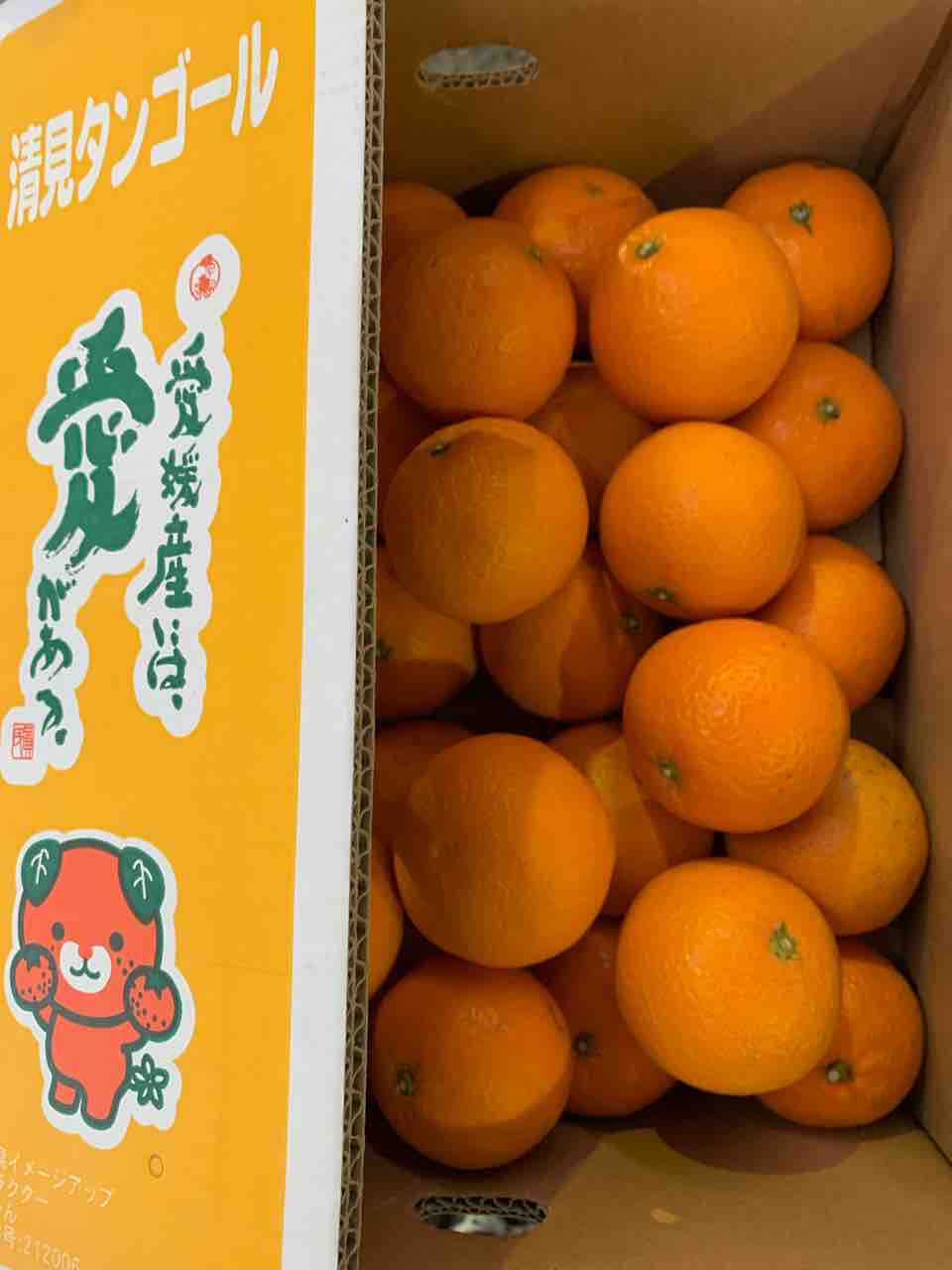 3/9（月）営業します : 志津駅前 八百屋さん