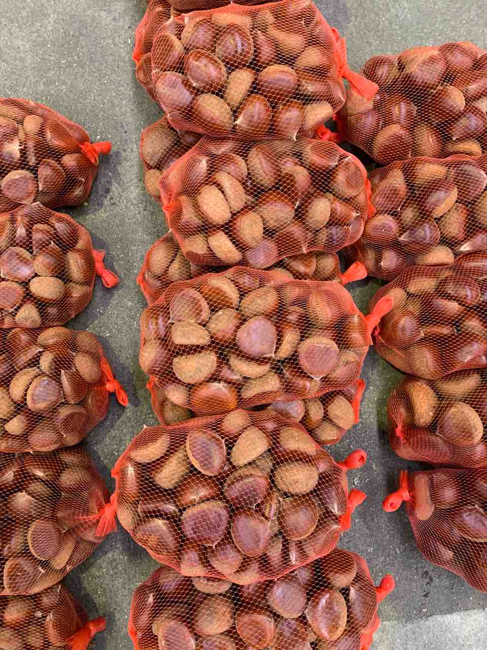 9/30（火）営業します : 志津駅前 八百屋さん