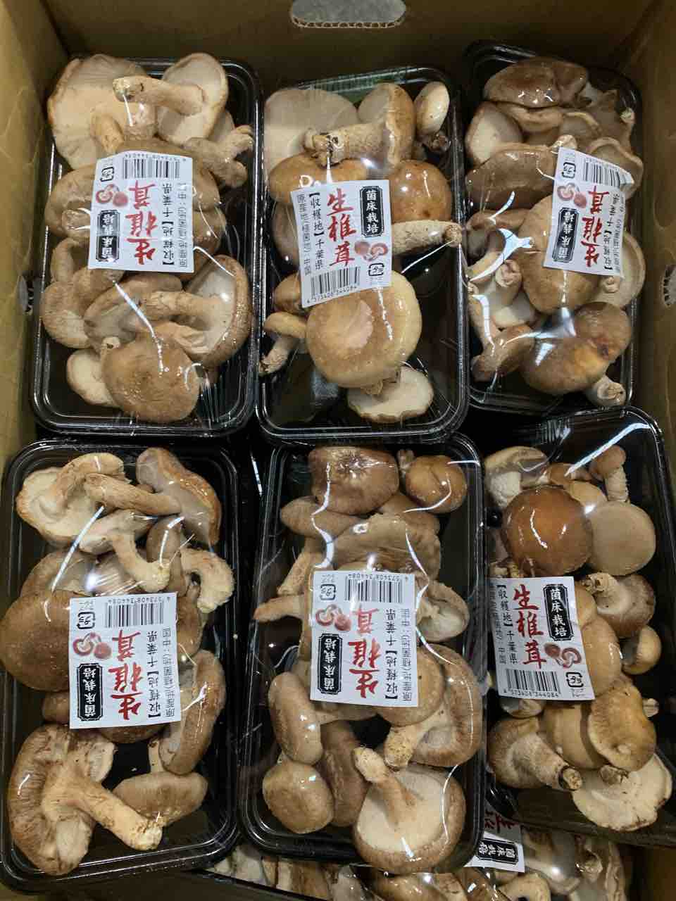 10/6（火）営業します : 志津駅前 八百屋さん