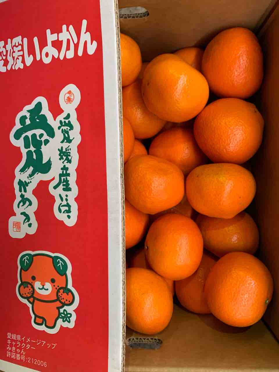1/26（月）営業します : 志津駅前 八百屋さん
