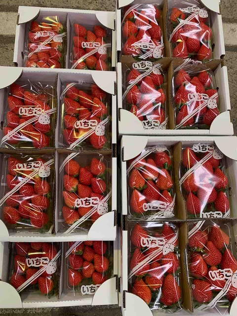 3691 ライチュウ 620枚 ビッグスパーキング等 パーツ 大量 まとめ売り 三重・松阪市「髭のよつぼし」が全国いちご選手権で金賞 “抜群の甘さ