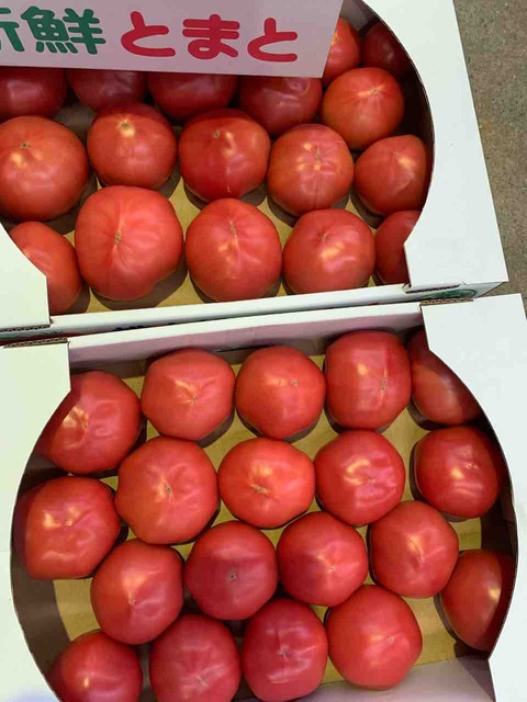 古着屋トマト TOMATO LIBRARY 江南店｜江南駅・三成(COEX)(ソウル)の