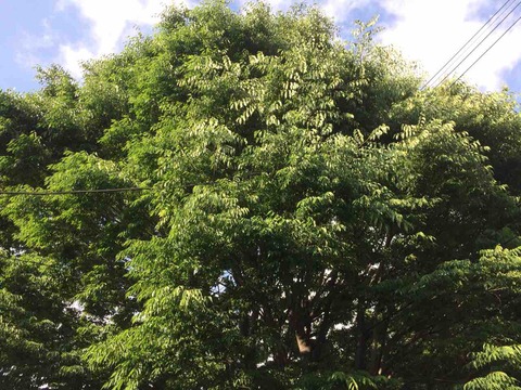 31DA0152-C3B8-4179-AB6D-7CDB63367FA0