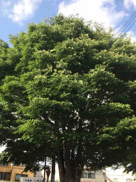 EDD22FFC-EA59-4D65-9688-D5AF12105C8F