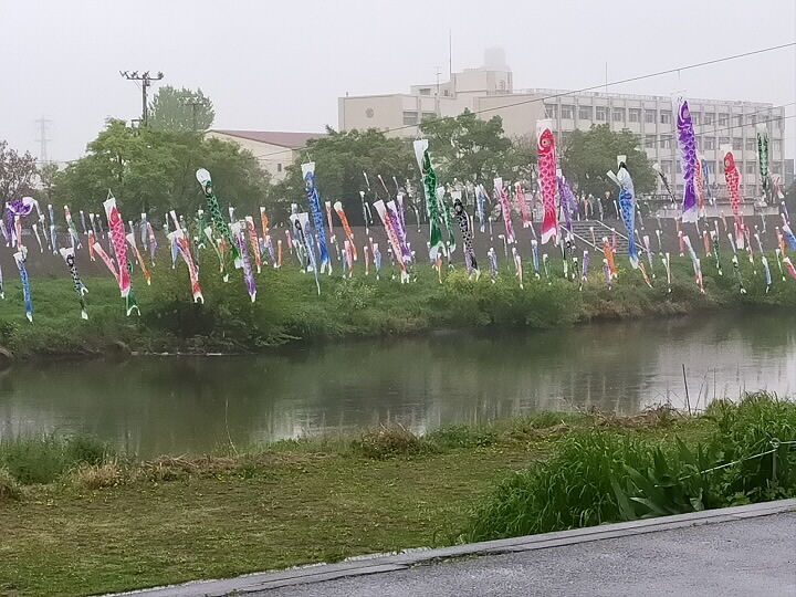 IMG20210414111902