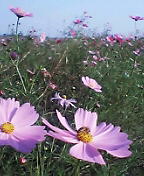 041024_1424~03.JPG