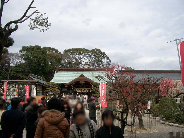イメージ 3