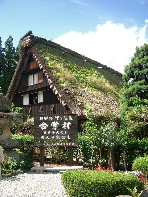 イメージ 7