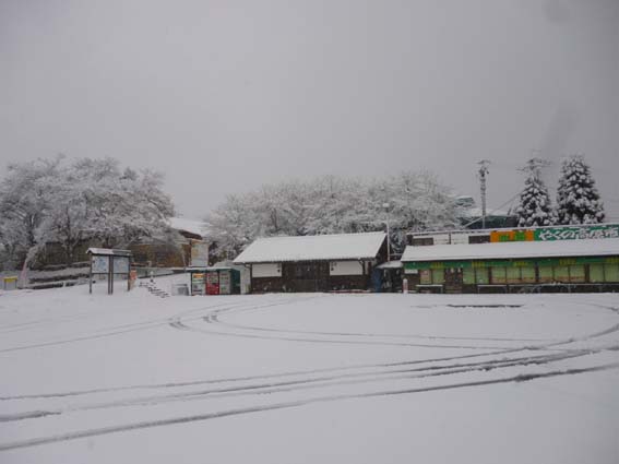 イメージ 17