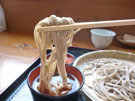 イメージ 5