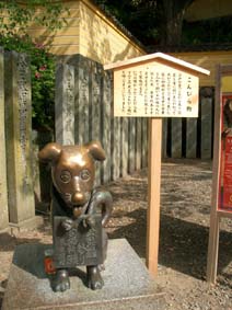 イメージ 7
