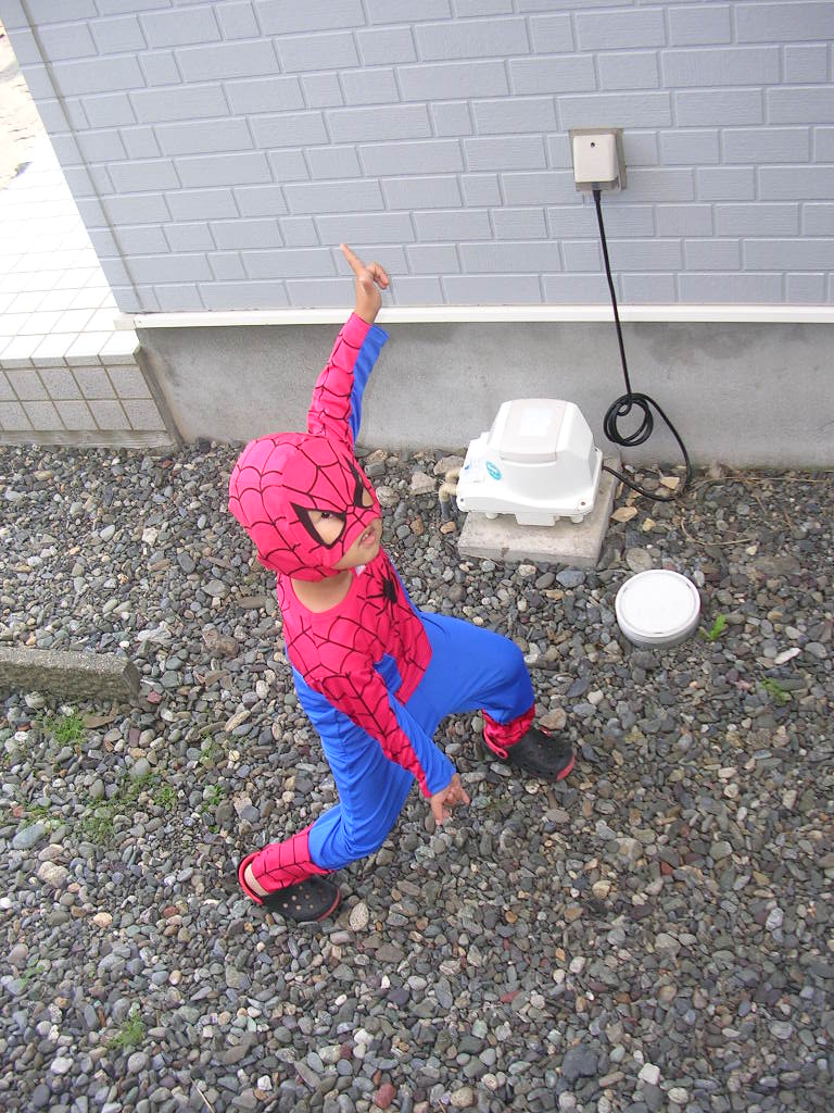 スパイダーマン めざせ40 スパイダーマン めざせ40