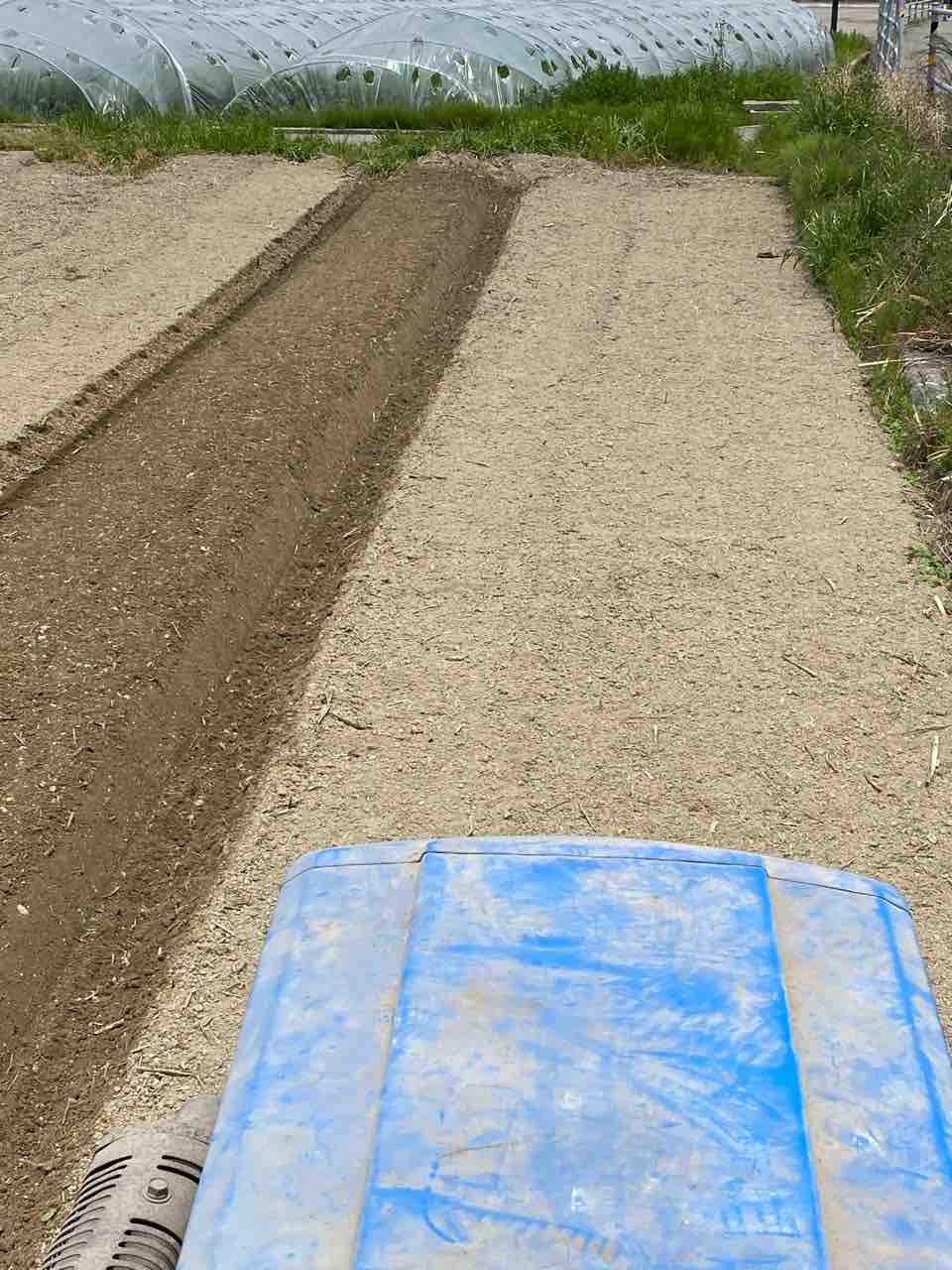 植え付けだけは 体験工房 じゃが 丸