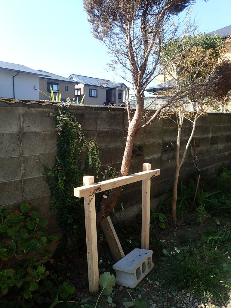 倒木に添え木 支柱 を 体験工房 じゃが 丸