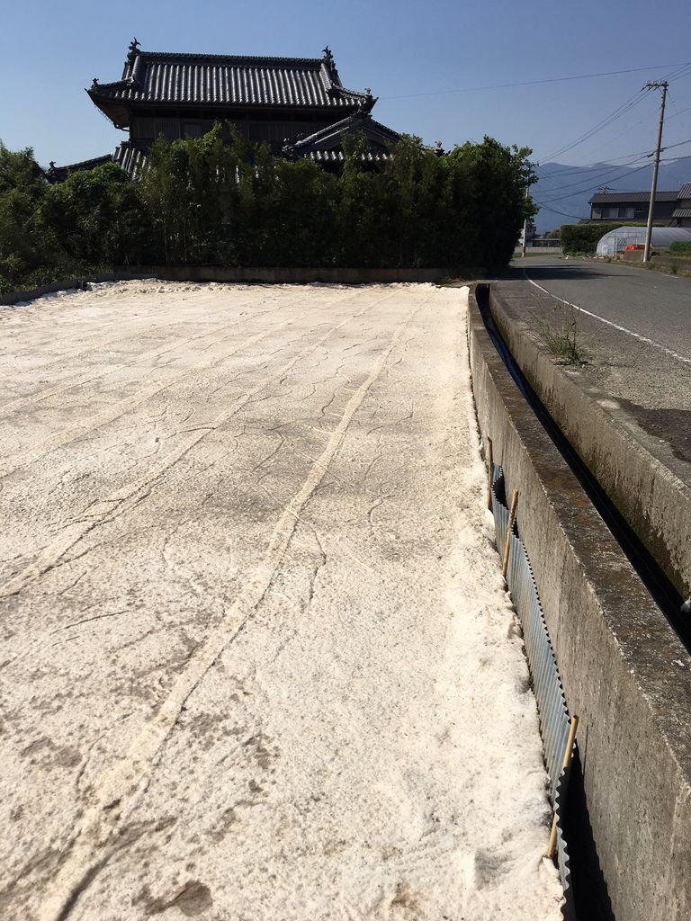 小山さんから珍しい 画像が届きました 体験工房 じゃが 丸 小山さんから珍しい 画像が届きました 体験工房 じゃが 丸