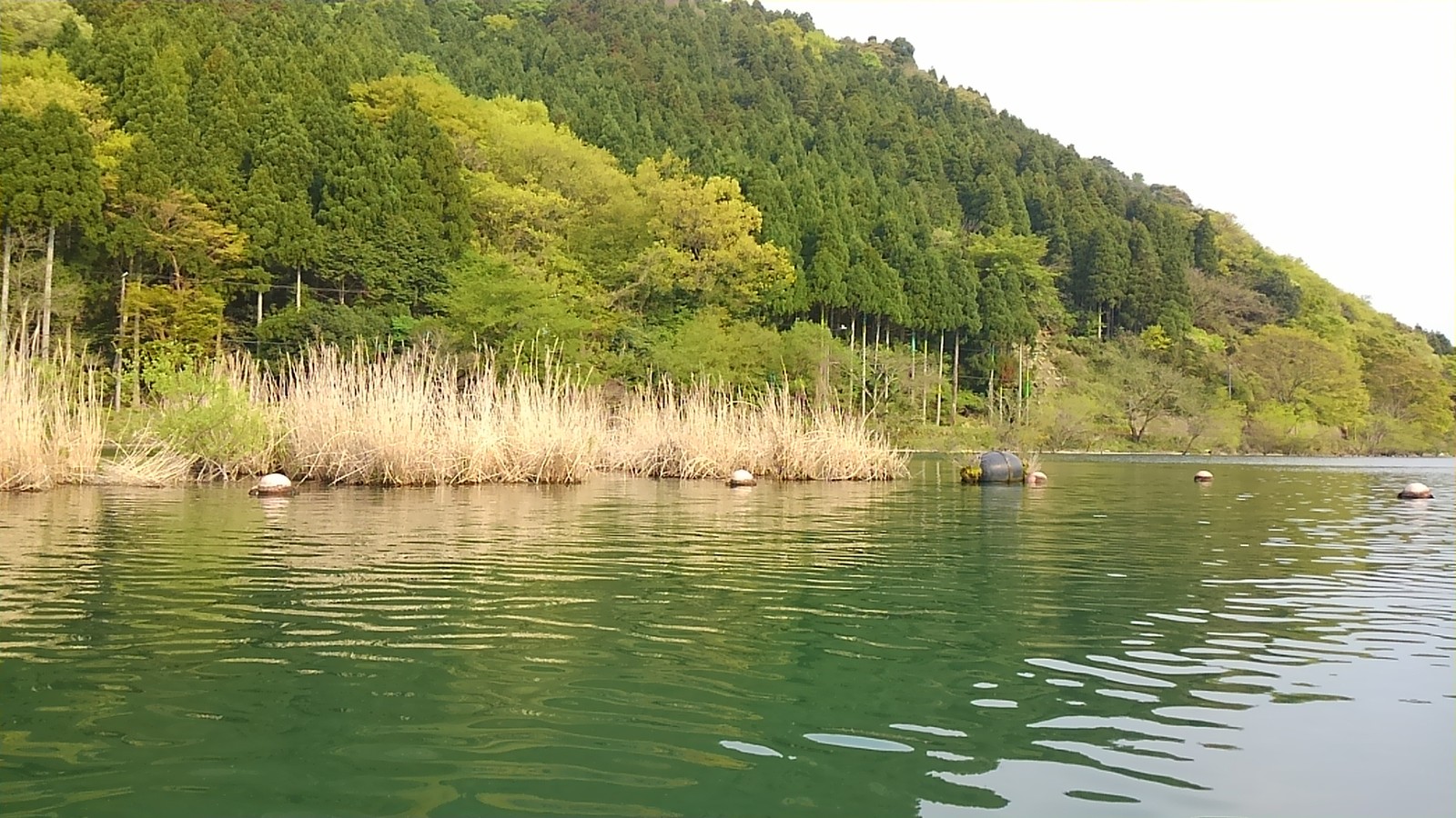 琵琶湖 バス釣り 春合宿 ２日目 ｸｰﾙ爆釣研final
