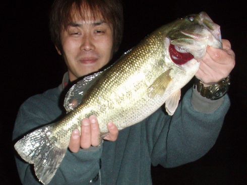 デカバス