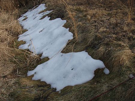 雪
