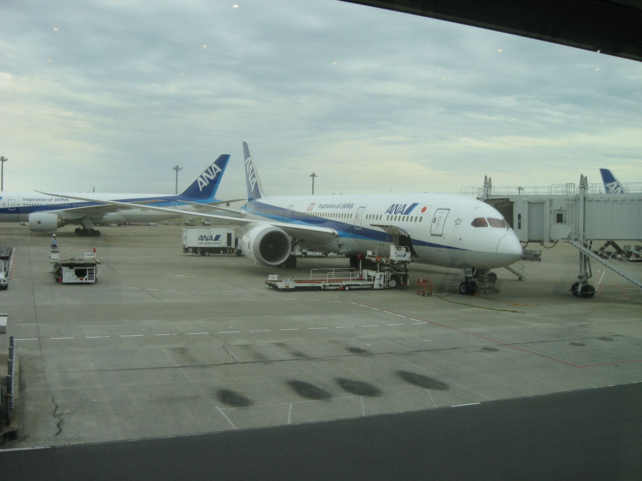 蕾たち Anaとjalがボーイングb787 9の国際線仕様機を導入 Ske48とエアバスa380超絶推し男のblog 蕾たち Anaとjalがボーイングb787 9の国際線仕様機を導入 Ske48とエアバスa380超絶推し男のblog
