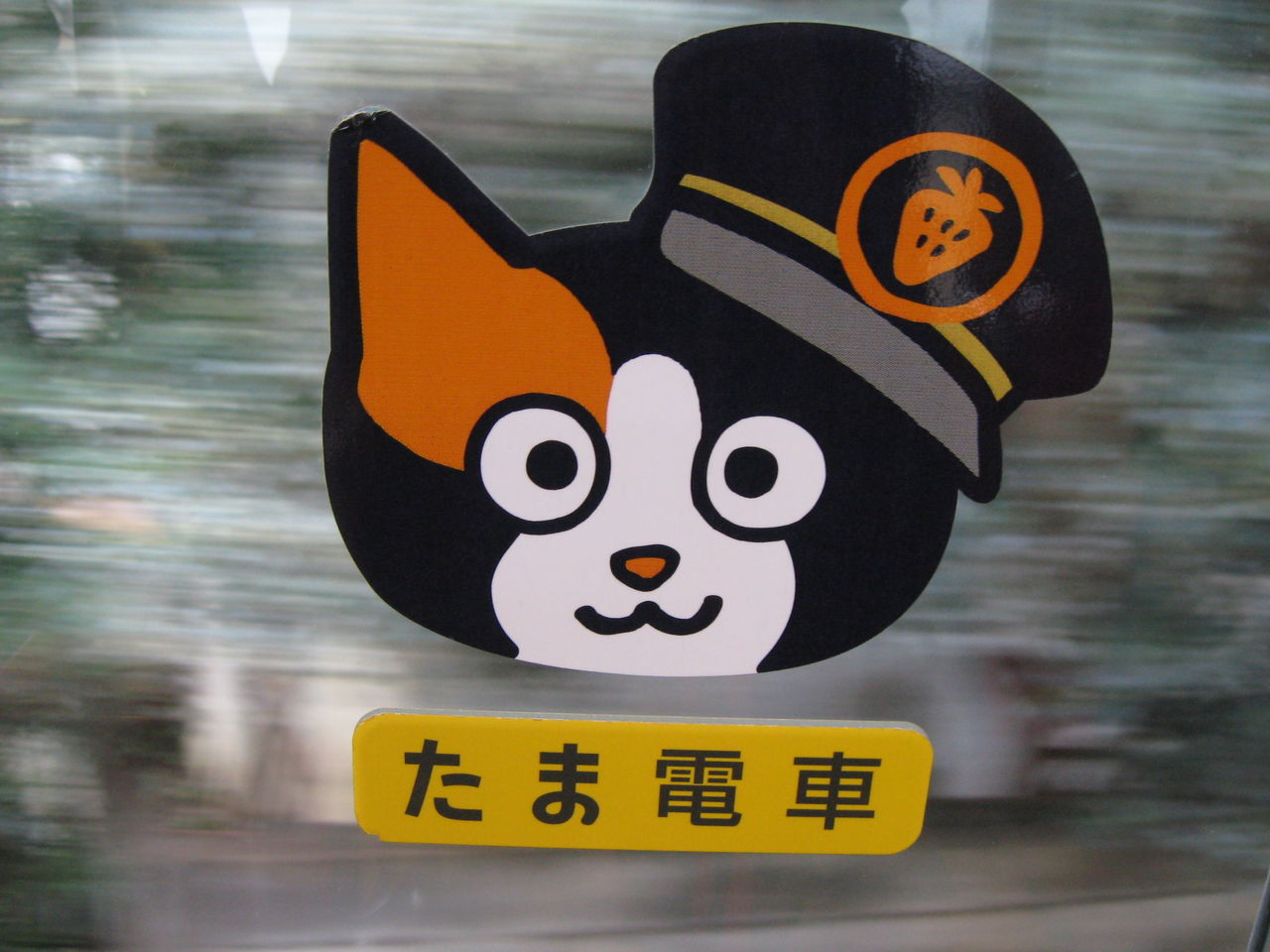 追悼 和歌山電鐵のたま駅長 16歳で永眠 Ske48とエアバスa380超絶推し男のblog 追悼 和歌山電鐵のたま駅長 16歳で永眠 Ske48とエアバスa380超絶推し男のblog