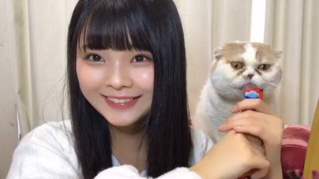 大橋真子ちゃんの猫 くしゃみを連発 花粉症か Ske48箱推し 大橋真子ちゃんの猫 くしゃみを連発 花粉症か Ske48箱推し