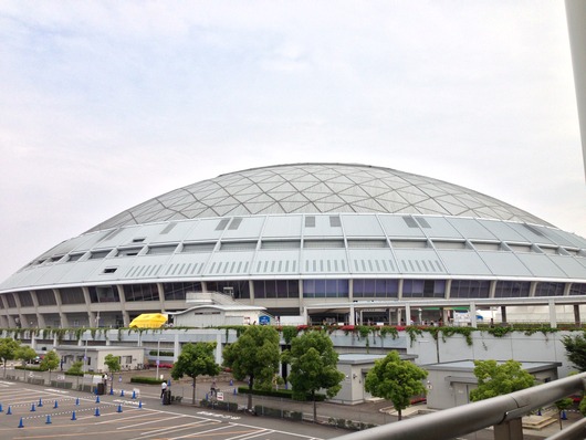 ナゴヤドーム_-_panoramio_(2)