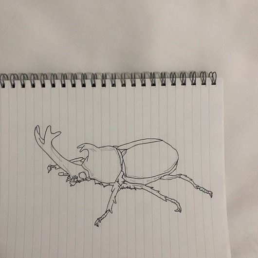 no title