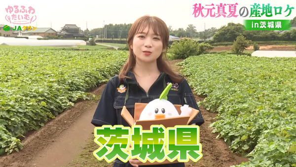 bandicam 2024-09-10 19-23-45-037