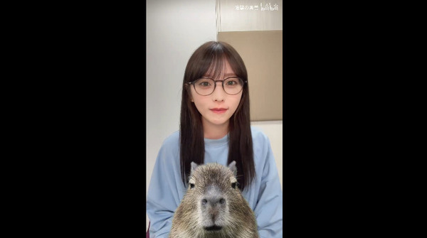 bandicam 2025-04-22 22-49-47-086